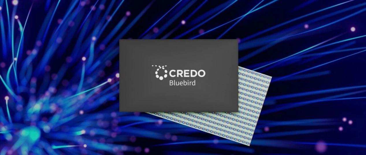 产品 | Credo发布专为低功耗、高带宽与超低时延的AI网络打造的Bluebird 1.6T光DSP芯片